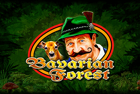 CasinoTechnology | Bavarian Forest