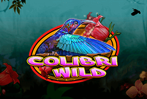 CasinoTechnology | Colibri Wild