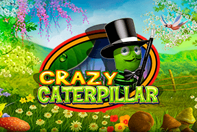 CasinoTechnology | Crazy Caterpillar