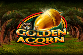 CasinoTechnology | Golden Acorn