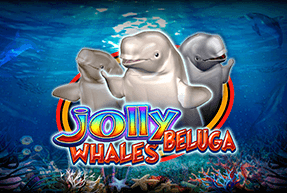 CasinoTechnology | Jolly Beluga Whales