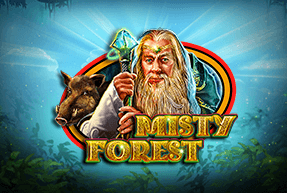 CasinoTechnology | Misty Forest