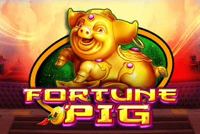 CasinoTechnology | Fortune Pig