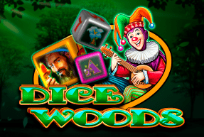 CasinoTechnology | Dice Woods