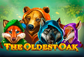 CasinoTechnology | The Oldest Oak